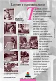 serie1-8a