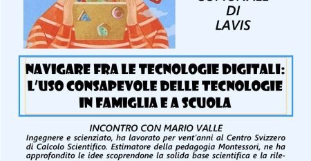 Locandina Mario Valle